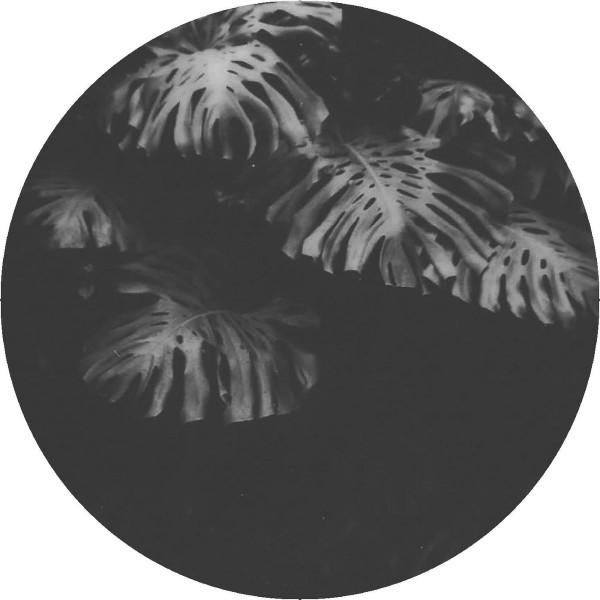 Ben Kaczor - Casia EP