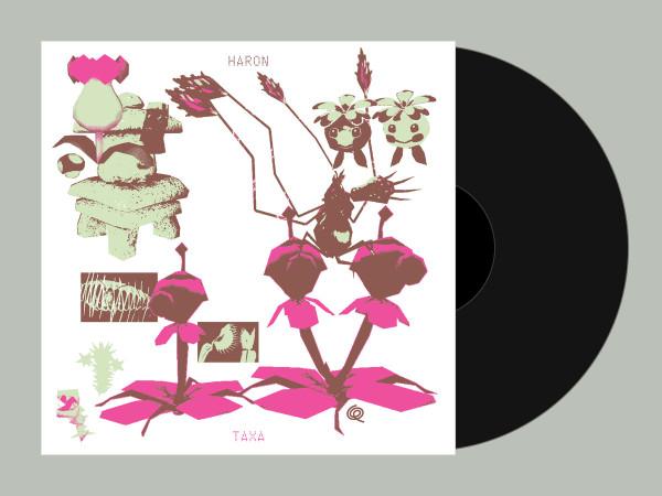 Haron  - Taxa