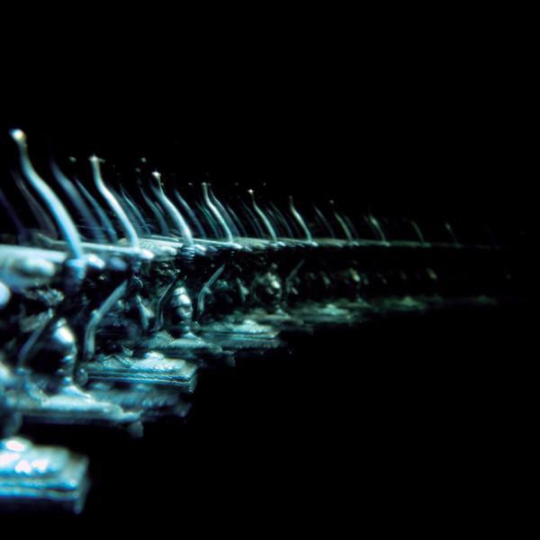 Ose (7) - Ellipsis