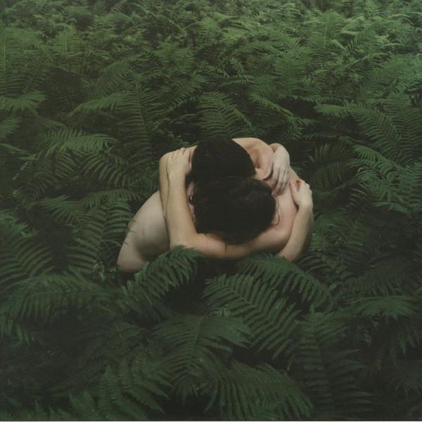Panoram - The Question