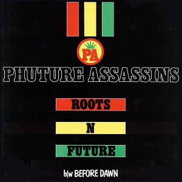 Phuture Assassins - Roots 'N Future