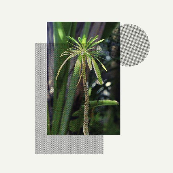 Stefan Jós - Primitives