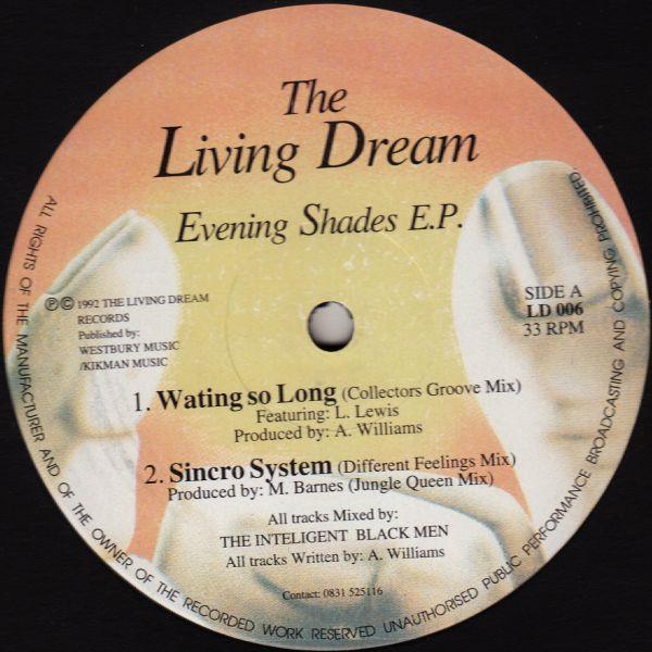 The Intelligent Black Men - Evening Shades E.P.