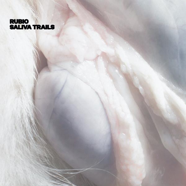 djrubio - Saliva Trails
